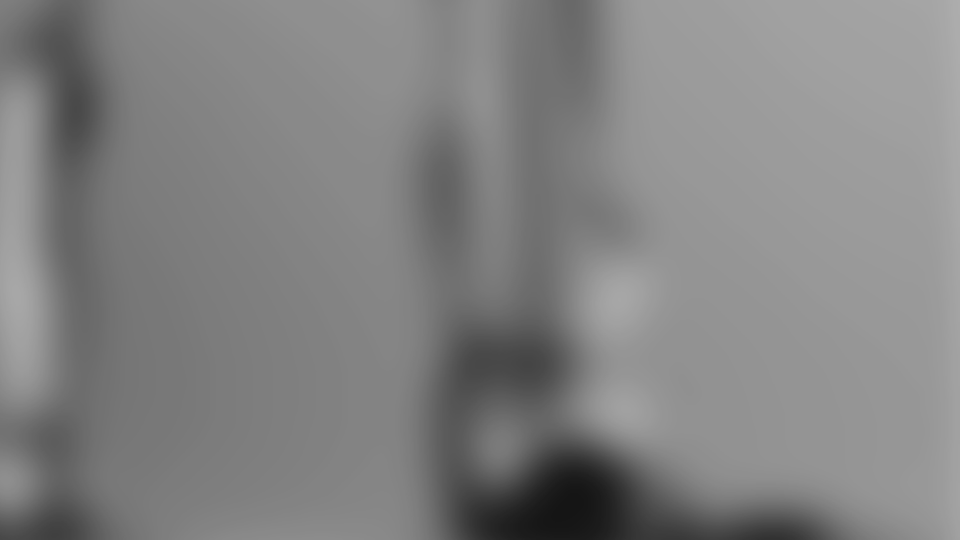 Vacuum Cleaner